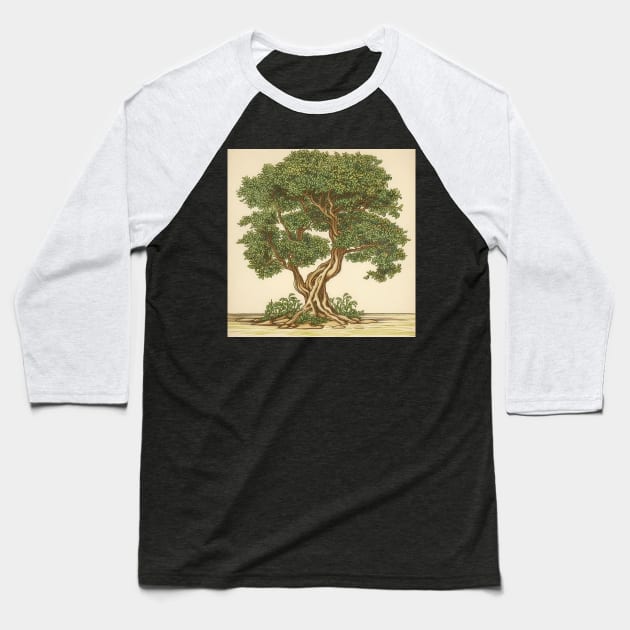 Boxwood tree drawing Baseball T-Shirt by ComicsFactory